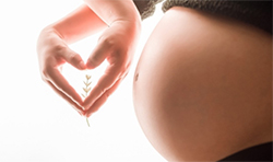 黑龙江孕期鉴定正规机构去哪里做？黑龙江孕期的亲子鉴定准确吗
