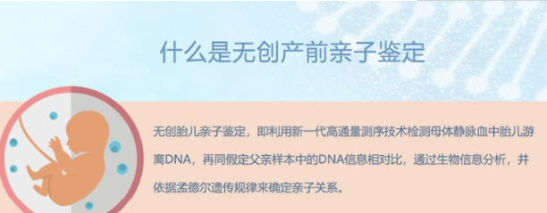 黑龙江怀孕了需要怎么办理亲子鉴定,黑龙江办理产前亲子鉴定详细流程