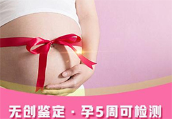 黑龙江刚怀孕怎么确定孩子父亲是谁，黑龙江孕期亲子鉴定收费标准