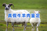 黑龙江羊类动物鉴定